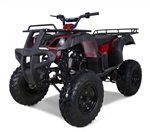 Tao Tao 150cc FULL SIZE Utility ATV Automatic with Reverse & LED Headlight ATV-150D, free shipping, free helmet