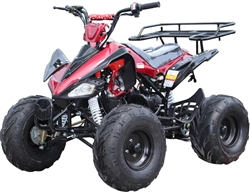 ICE BEAR 125cc "Big Cat" ATV Automatic with Reverse, Remote Kill, 19" Big Tires (PAH125-12). Free shipping to door with a free helmet.