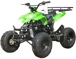 ICE BEAR "Big Raptor" 125cc ATV Automatic with Reverse, Remote Kill, Foot gear shifter, 19" Tires (PAH125-3E)