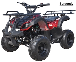 ICE BEAR 125cc Youth Quad ATV Automatic with Reverse, Remote Kill, 16" tires, 7" Rims (PAH125-8S)