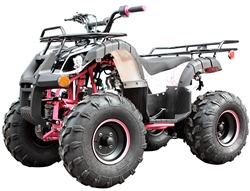 ICE BEAR "Big Hunter" 125cc Utility ATV Automatic with Reverse, LED Light, Remote Stop, 19" Big Tires, Matching Colored Frame, Wheels & Handlebar grips! PAH125-8E. Free shipping to your door, free DOT motocross helmet. 6 month bumper to bumper warranty.