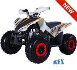 Tao Tao REX 125cc ATV Automatic with Reverse, Upgraded Bumper, LED, Hand-guards, Remote Stop, 19"/18" Big Tires 8" Colored Wheels, LED light. Free shipping to door, free motocross youth helmet. 6 months parts warranty.
