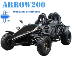 TAO TAO ARROW 200 Go Kart 200cc Buggy 2-Seater Racing style with Spare Tire, Automatic Transmission with Reverse, free shipping to your door, free DOT approved motocross helmet, 6 months bumper to bumper warranty.