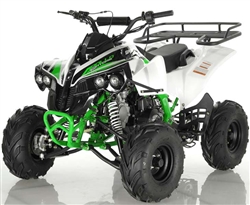 "SPORTRAX" FULL SIZE 125CC ATV Fully Automatic+Reverse, Foot gear shifter, 7" Wheels, Free Large Luggage Rack (ATV-121-125). Free shipping to your door including a free helmet.