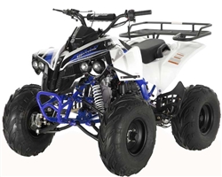 "SPORTRAX" FULL SIZE 125CC ATV Fully Automatic+Reverse, Foot gear shifter, 8" Wheels, Free Large Luggage Rack (ATV-121L-125). Free shipping to your door including a free helmet.