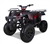 CARB Approved TaoTao 150cc FULL SIZE Utility ATV Automatic with Reverse & LED Headlight ATV-150D, free shipping, free helmet