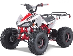 CARB Approved G125 "Cheetah" 110cc Youth Sport ATV Automatic with Reverse, Rear Rack, Remote Engine Shut off, 19"/18" Big Tires, 8" Rims