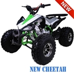 Tao Tao "New Cheetah" 125cc ATV Automatic with Reverse, Upgraded Front Bumper, Rear Rack, Muffler, Tires, Wheels, Air Filter... Remote Start/Kill, 19"/18" Big Tires, 8" Chrome Wheels, LED light. Free shipping to door with a free helmet.