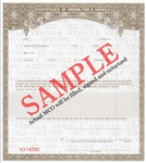 Pay for replacement DMV registration paperwork online.