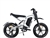 EBA216 980W Electric Bike, 60V 20Ah Lithium-ion Battery, Aluminum Frame, 20" Alloy Wheels, Kenda Tires, Dual Disc Brakes, 7 Speed, 5-level Pedal Assist, LED Lights, LCD Display, Smart Charger, 45 miles per charge, top speed 42 mph! 6 months warranty.