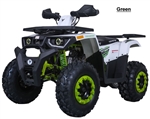 "Raptor" 200cc ATV Automatic with Reverse, Upgraded Suspension, Dual Disc Brakes, Large Digital Display, Large Front Bumper and Rear Cargo Rack, 23" Front tire, 22" Extra wide rear tire, LED headlights. Free shipping to door, free gift. 6 months warranty.