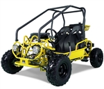 NEW Tao Motor GK110 110cc Double Seater Youth Go kart Fully Automatic w/ Reverse, Remote, Governor, Sun Shade, 7" Big Tires