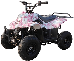 ICE BEAR 110cc Youth ATV Fully Automatic with remote engine kill. 6" Tires (PAH110-2), 110cc Kids 4-wheeler, 4 stroke, Free shipping to door, free DOT approved motocross helmet. 6 months bumper to bumper warranty.
