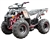 ICE BEAR "Big Hunter" 125cc Utility ATV Automatic with Reverse, LED Light, Remote Stop, 19" Big Tires, Matching Colored Frame, Wheels & Handlebar grips! PAH125-8E. Free shipping to your door, free DOT motocross helmet. 6 month bumper to bumper warranty.