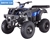 TAO TAO 200cc Full Size Utility ATV Air Cooled Manual 4 Speed+Reverse RHINO-250