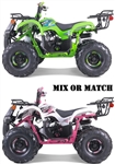 Two CARB Approved TFORCE 110cc Youth ATV Automatic with Reverse (F/N/R), Remote Stop, 18"/19" Big Tires, Adjustable Shocks, Digital gear indicator, Soft Hand Grips, Powder Coated Frame